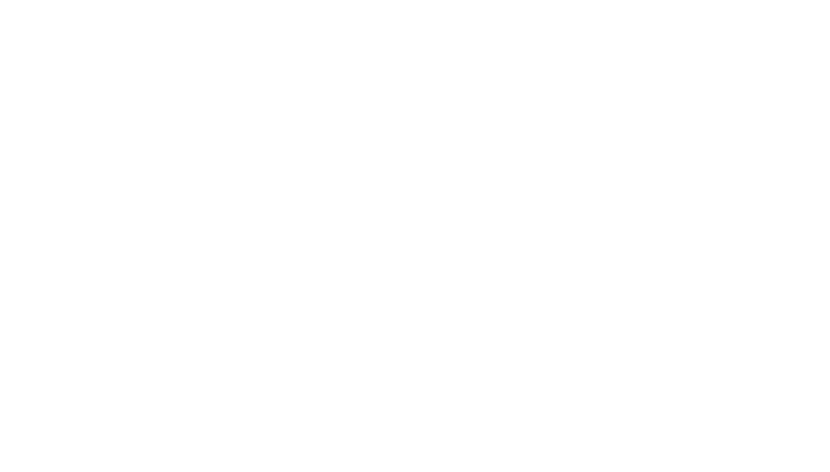 IbtikarZ Creative Engineering Studio logo - company branding for digital solutions and web development services